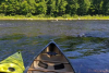 resized_20190701_103146_29351922557486.jpeg
